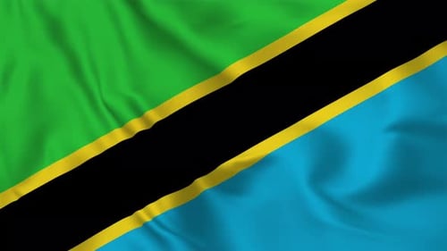 Realistic Waving Flag of Tanzania Animation