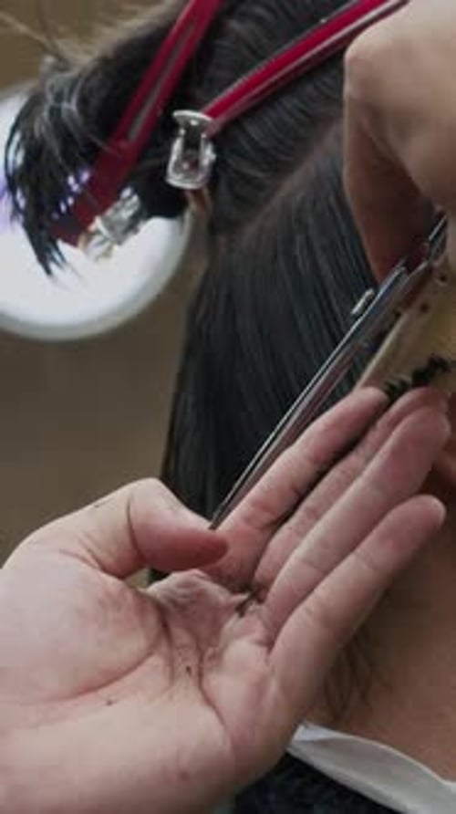 Expert Hands Cutting Dark Hair with Scissors
