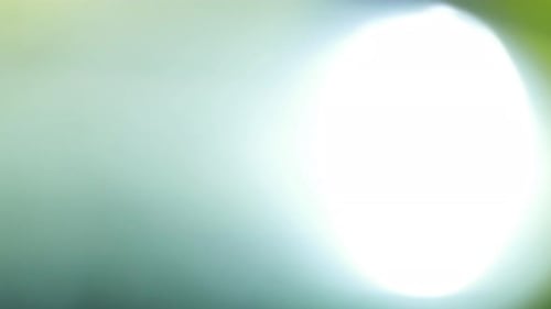 Illuminate Collection: Blue and green colored light leak transition