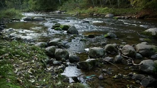 Small Rivers Slow, Rocky Rapids with Water Flow in the Wild Forest