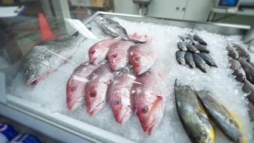 Verschiedene Arten von ganzen Fischen, organisiert mit Eis in der Vitrine des Fischhändlers, Meeresfrüchte, HD
