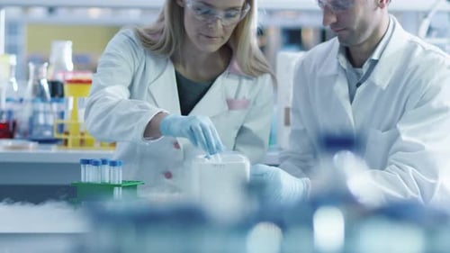 Two scientists are putting test-tubes in liquid nitrogen in a laboratory.
