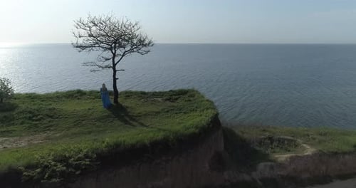 A beautiful girl in a blue dress stands on the edge of a cliff in front of the sea near a tree.