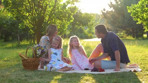 Family Picnic in a Sunny Green Meadow