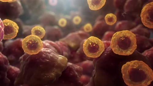 3D Biological Animation of Moving Microscopic Cells