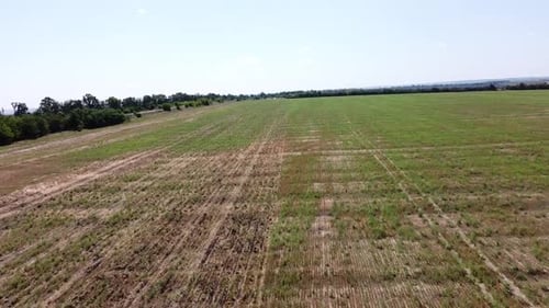 Blue Tractor O.A. Planting Canola On No Till Field