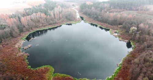 Aerial view of foggy lake and colorful forest in autumn