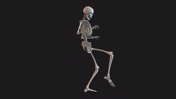 Skeleton Creeping Walk Cycle Loop 01, Elements Motion Graphics ft ...