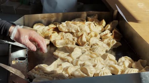 Close Shot of Tasty Fresh Frying Gyoza on an Asian Street Market Traditional Healthy Food