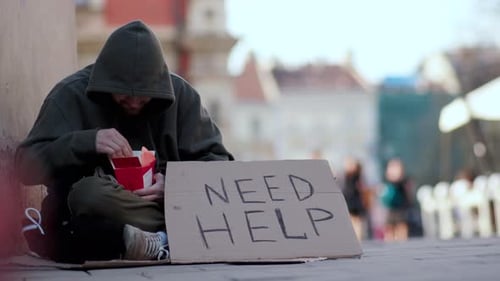 Man with Beard Sits on Street with 'Need Help' Sign