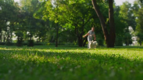 Fröhlicher Besitzer wirft im Sommersonnenlicht des Parks einen Ball auf den energischen Golden Retriever