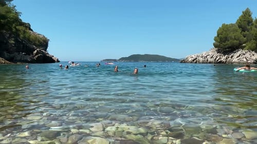 Summer Swim in a Secluded Cove