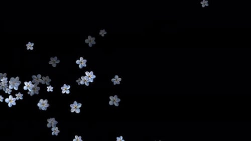 Delicate Blue Flowers Falling Loop Overlay