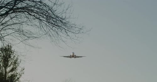 A jet makes a low flyover at sunset with winter trees visible in the foreground.