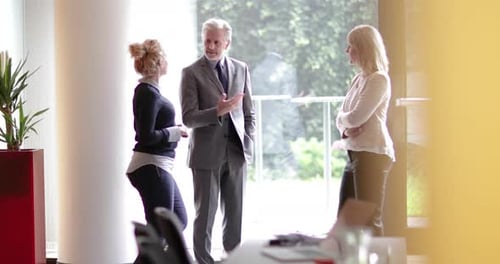 Business Professionals Having Discussion in Bright Modern Office