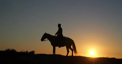 Horse Rears Up at Countryside Sunset