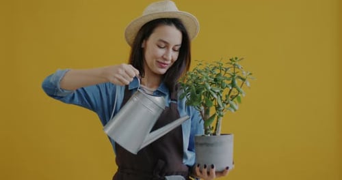 Portrait of Young Woman in Apron Watering Pot Plant and Smiling on Yellow Background