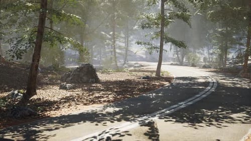 Winding Road Through a Serene Forest Landscape on a Sunny Afternoon