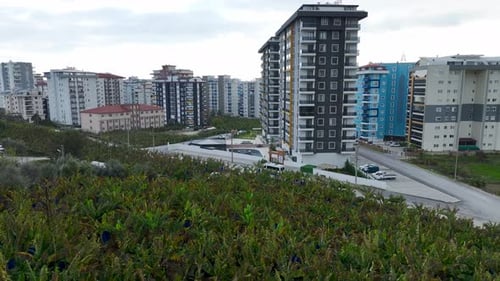Coastal Cityscape, Residential Towers and Green Fields Aerial View