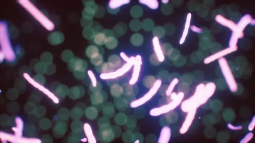 Viewing the Navirus Under a Digital Microscope