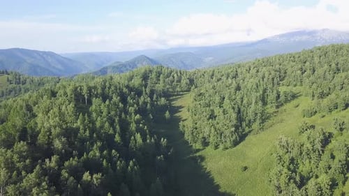 Lush Green Forest Covering Rolling Hills and Mountains