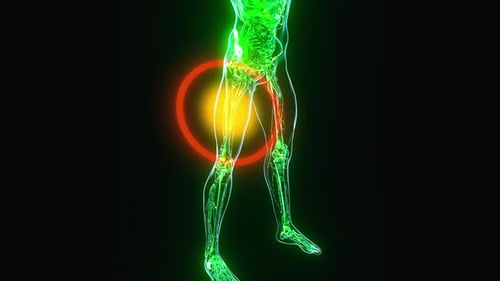 3D Glowing Human Skeleton Squats with Barbell Highlighting Muscles