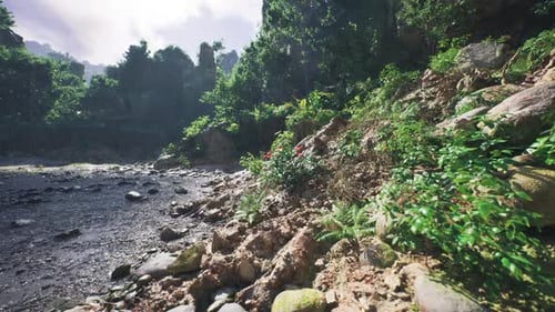 Verdure luxuriante et rivage rocheux le long de la paisible rivière au Laos