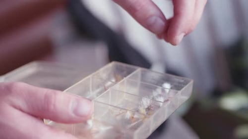 Cueillette à la main d'une mouche artificielle parmi une sélection dans une boîte de pêche à la mouche