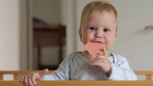 White Baby Teething in Wooden Crib