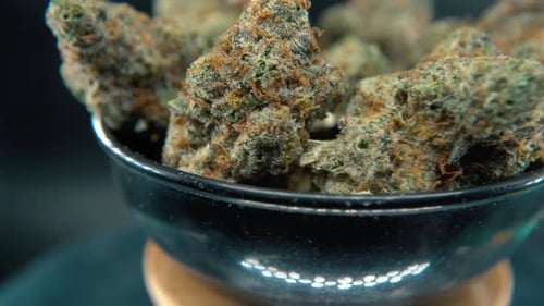 A dreamy tilt up shot of a cannabis plant, hybrid orange strains, sativa ,marijuana flower, on a rot