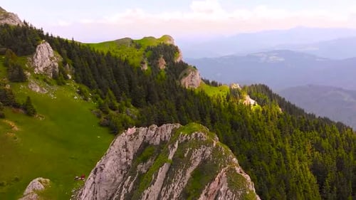 Above the Forest Floor: Discovering the Hidden Wonders of the Aerial Forest 4K