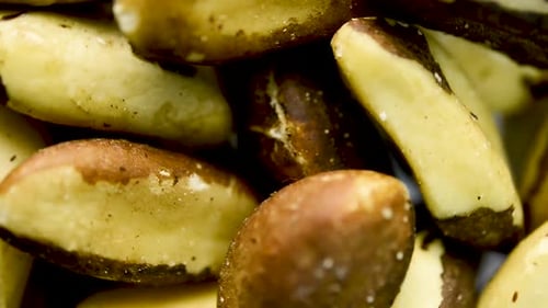 Close up of Brazil nuts rotating. Flat plane. Top view