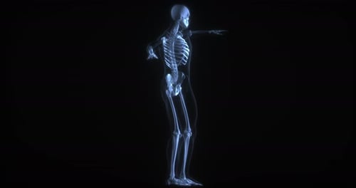 3D Human Skeleton X-ray Hologram Rotation Medical Animation