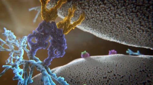 Vibrant microscopic view of cellular structures in close-up