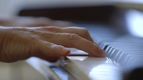 Fingers Of A Pianist Pressing On Black And White Piano Keys. Professional Musician Playing Piano. cl