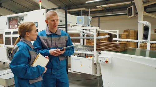 Workers at a Modern Factory for Production of Cardboard Packaging Stand Near a Conveyor Line Along