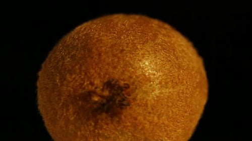 Closeup of Kiwi Slowly Rotating on Black Background the Rotation May Be Looped