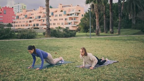 Strong Athletes Practicing Yoga at Glade Flexible Women Enjoying Asana Pose