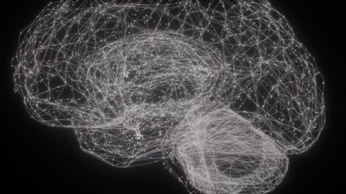Digital Brain Network Formation with Connecting Lines and Dots