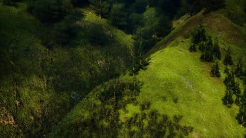 Aerial View of Lush Green Hillside