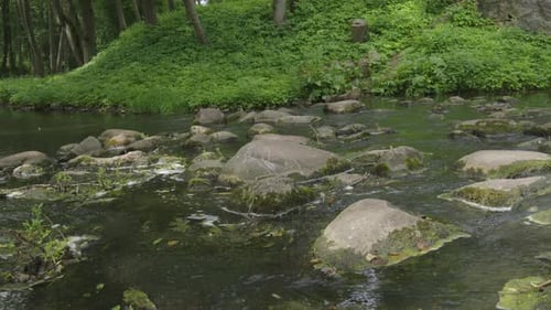 Ein Waldbach fließt über eine felsige Mündung und rutscht zwischen moosigen Steinen und üppigem Grün