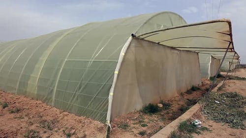 Agricultural in greenhouses and drip irrigation
