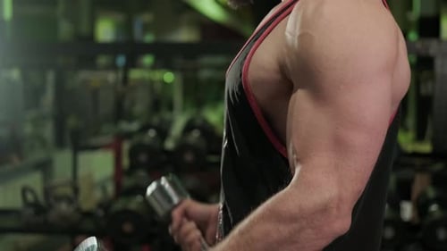 Muscular Man Lifting Dumbbells in Gym