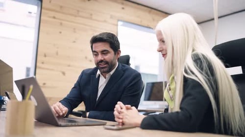Professional Business Colleagues Brainstorming with a Laptop in a Modern Office