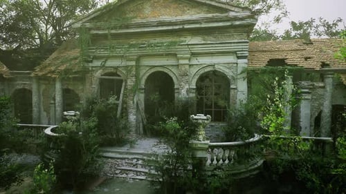 Quiet Panoramic Terrace Enveloped By Creeping Foliage and Weathered Structures