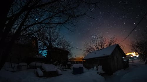 Winter garden and starry sky