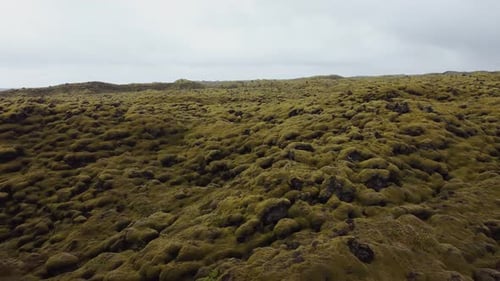 Vulcanic Green Field in Iceland