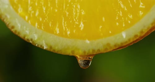 Close up or macro of a slice of orange, a drop of water falls in slow motion. The fruit gives off