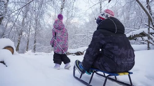 Children Enjoying Sledding Adventure in Snowy Forest Winter