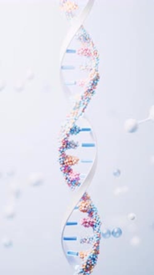 Animated 3D DNA Double Helix Structure Rotating for Medical Science